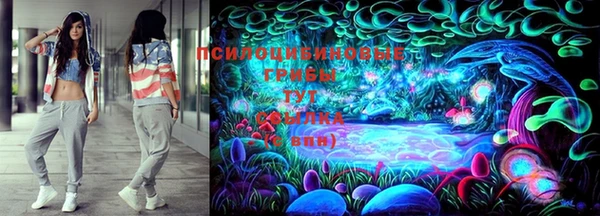 ГАЛЛЮЦИНОГЕННЫЕ ГРИБЫ Алзамай