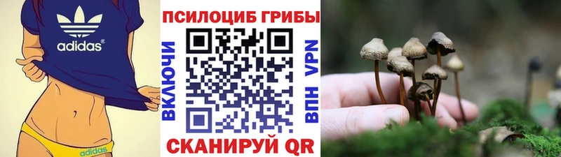 блэк спрут зеркало  Анжеро-Судженск  Псилоцибиновые грибы MAGIC MUSHROOMS  купить наркотик 